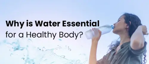 Why is Water Essential for a Healthy Body?