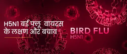 H5N1 बर्ड फ्लू वायरस के लक्षण और रोकथाम