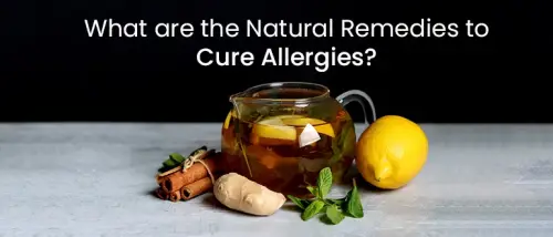 What are the Natural Remedies to Cure Allergies?