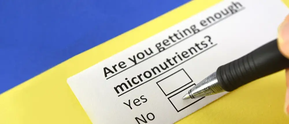 What are the Micronutrients Deficiencies?