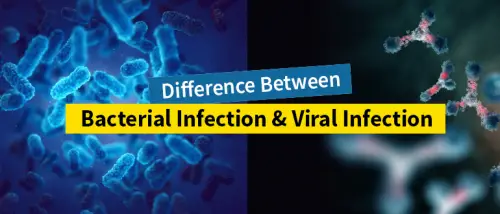 Viral Fever and Bacterial Fever: How are They Different from Each Other?