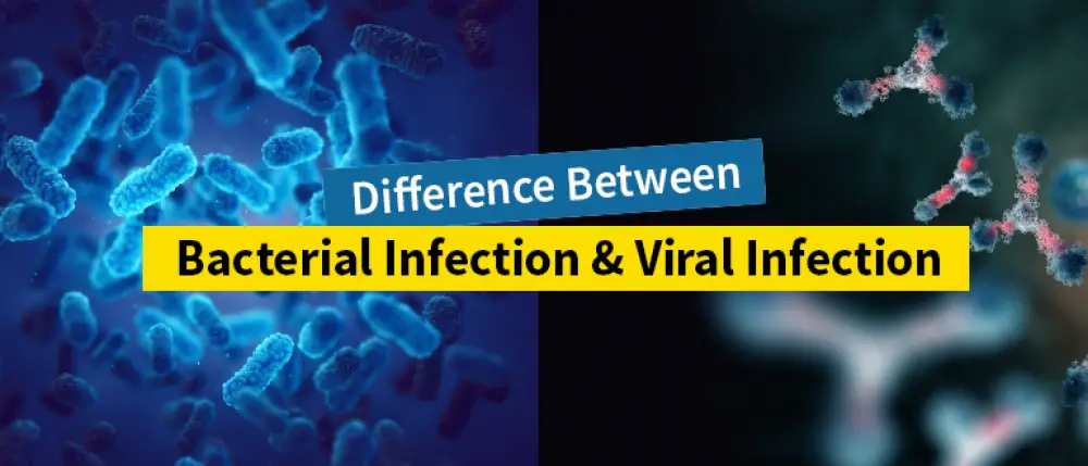 Viral Fever and Bacterial Fever: How are They Different from Each Other?