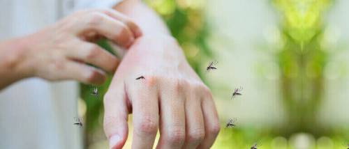 Why Do Some People Draw Mosquitoes Attention More than Others?