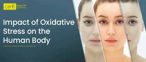 What is the ﻿Impact of Oxidative Stress on the Human Body?