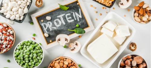 Best Sources of Protein: Get Your Daily Dose with These Healthy Foods