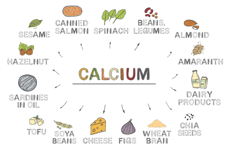 Which Plant-Based Foods Are Highest in Calcium? Discover the Best Sources