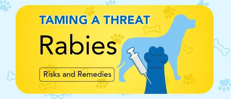 Taming a Threat: Rabies Risks and Remedies