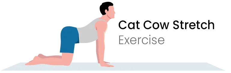 Cat-Cow Stretch