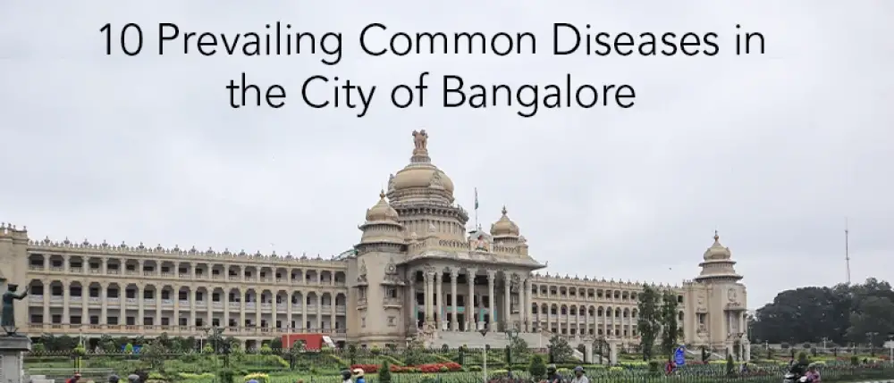 10 Prevailing Common Diseases in the City of Bangalore