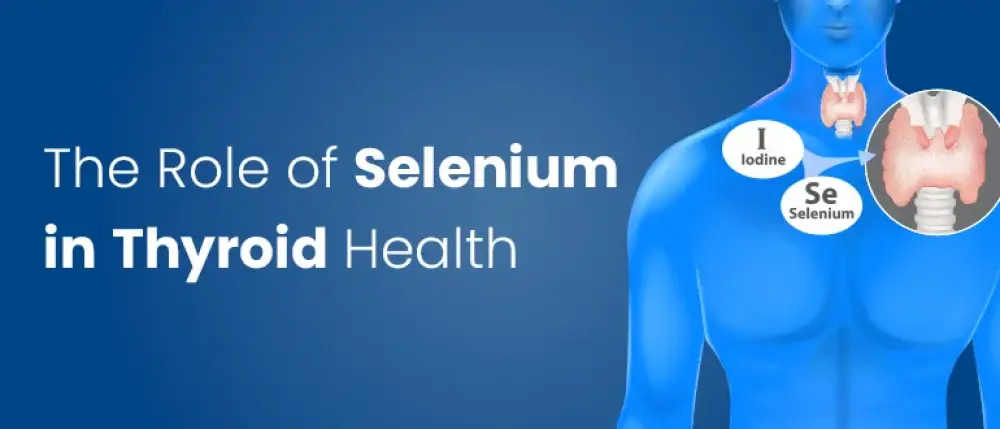 The Role of Selenium in Thyroid Health