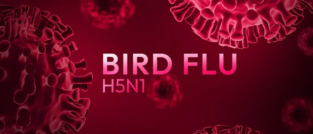 Bird Flu Disease: All You Need to Know About Avian Flu Virus