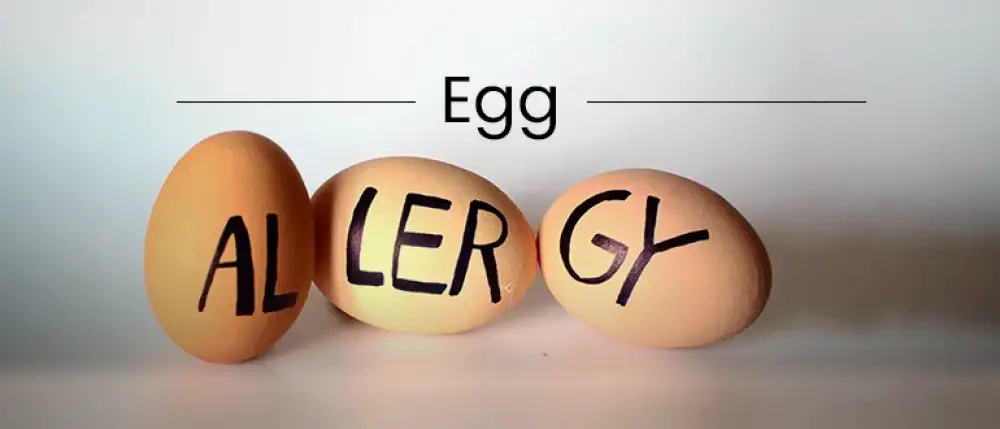 Egg Allergy: Do You Scramble Your Taste Buds Safely?