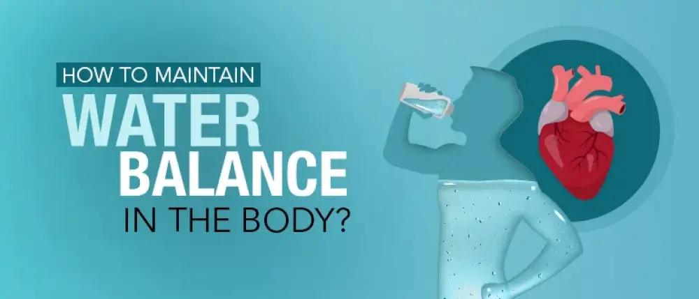 What is the Ideal Water Consumption Per Day for a Human Body?
