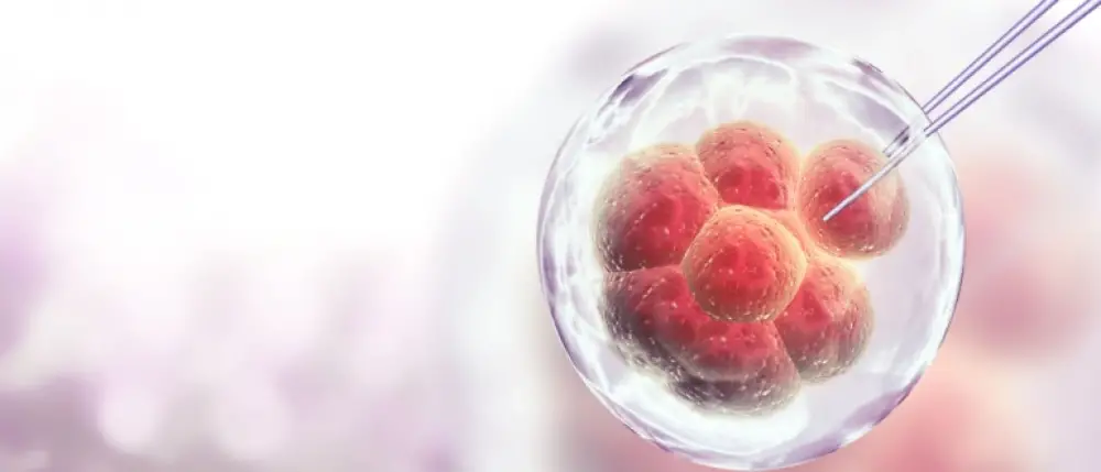 Benefits Of Operation Insurance For Stem Cell Therapy