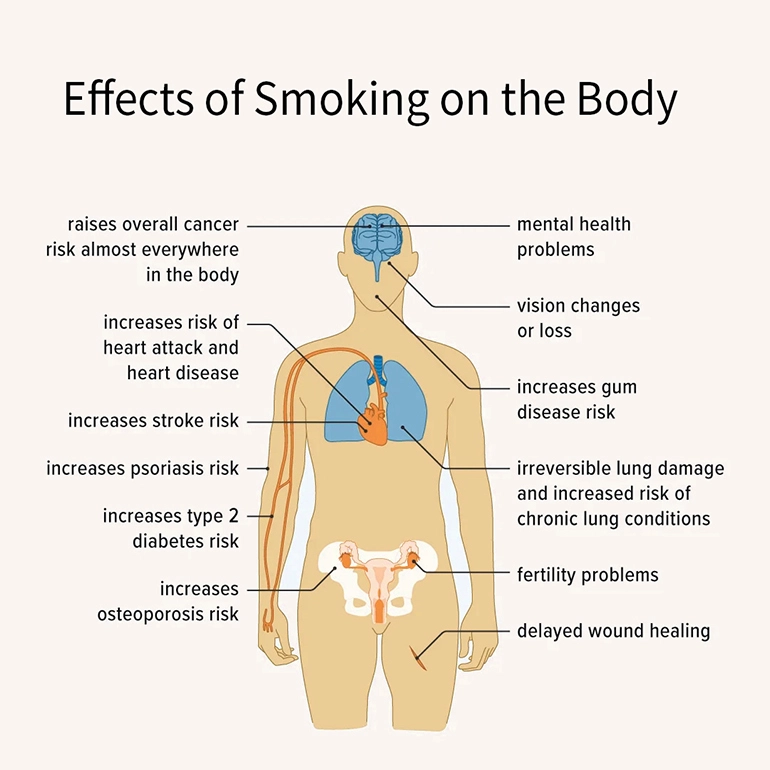 nicotine effects on the body